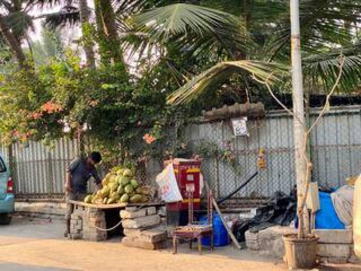Dom Lucia 201 Quiet And Cozy 1 Bhk Bandra Ocean Side Wifi Apartment Mumbai